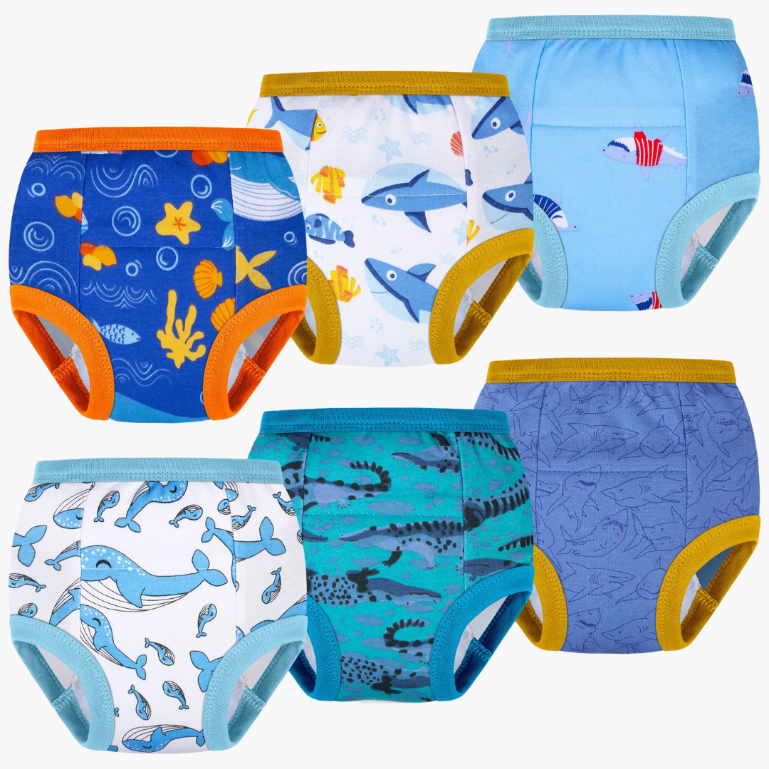 6-Pack Toddler Potty Training Underwear