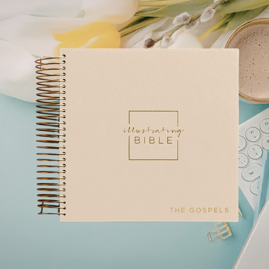 Illustrating Bible - Faux Leather, Rose Gold Spiral Bound