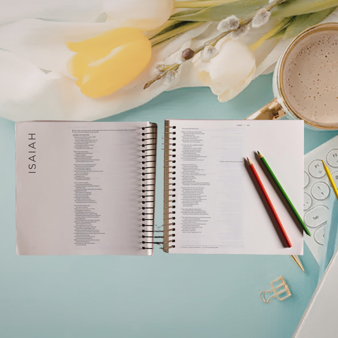 Illustrating Bible - Faux Leather, Rose Gold Spiral Bound