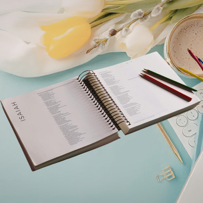 Illustrating Bible - Faux Leather, Rose Gold Spiral Bound