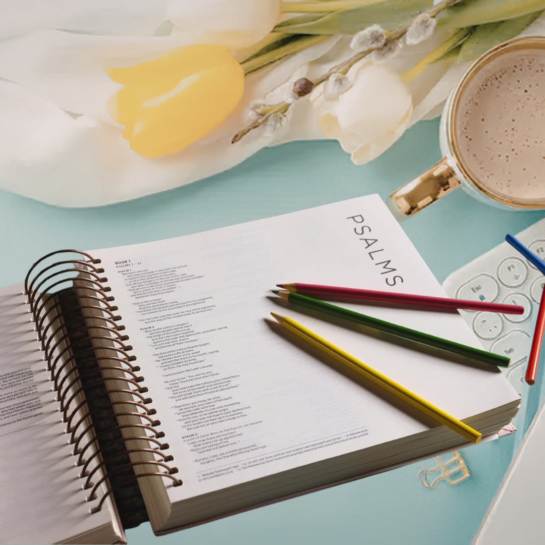 Illustrating Bible - Faux Leather, Rose Gold Spiral Bound